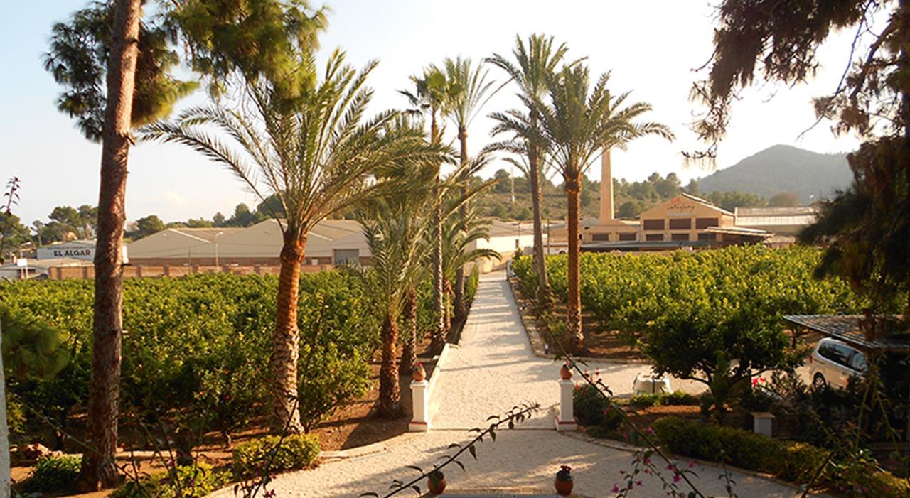 El Sequer Casa Rural Oliva Exterior photo