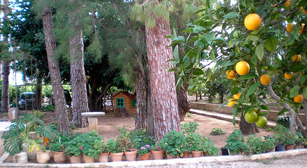 El Sequer Casa Rural Oliva Exterior photo